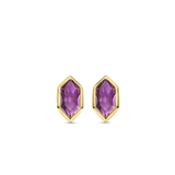 Paarse Gem Oorbellen
