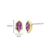 Paarse Gem Oorbellen