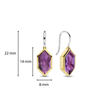 Paarse Gem Oorbellen