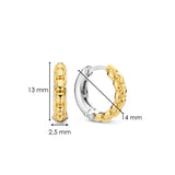TI SENTO Oorbellen 7961SY