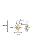 Star Parel Oorbedels